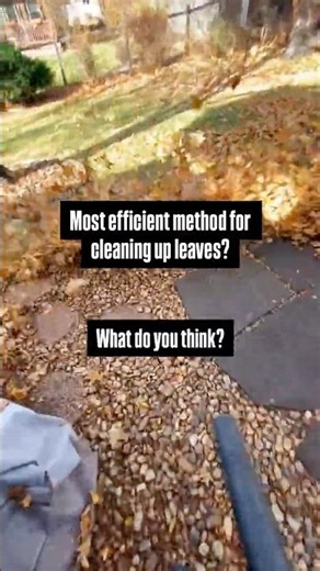 Most Efficient Method for Cleaning Up Leaves?