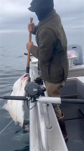 1.3K reactions · 22 shares | Discover the ultimate Alaskan fishing adventure with Middle Island Lodge’s guided fishing packages. Our experienced local guides will take you to the most productive spots in Sitka Sound for king salmon, coho, halibut, and more! | Middle Island Lodge | Facebook