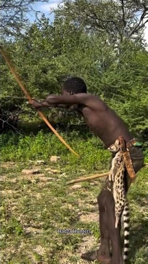 ¡Caza con arco oculta en el arbusto!🏹 Hidden bush hunter perfect shot!🎯 #Shorts #Viral #Caza #Hunt