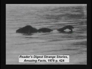 EVIDENCE #54 More Possible Dinos Today Have you ever heard of the Lochness Monster? Keep that in mind. Darwinists claim all the dinosaurs went extinct 65 million years ago. Look around! Have you seen any recently? Of course not. But what would happen to their theory if dinosaurs were discovered to still be alive today? I'm not saying there's a pack of T-Rexes roaming around somewhere. Mankind has killed all the dragons that they've known about ever since the Flood. But what about the ones that w