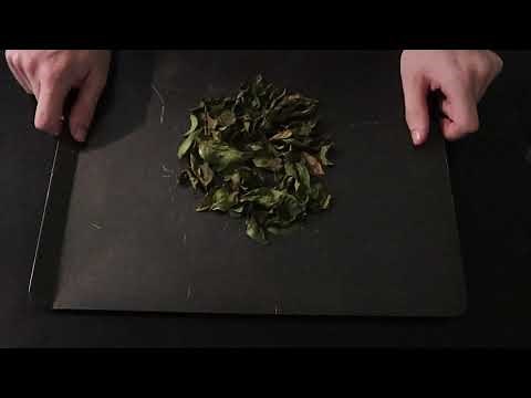 FAIRE SÉCHER ET CONSERVER DU BASILIC EN 5 MINUTES AU FOUR