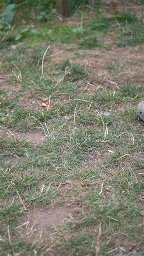 Supplied as part of the Ruggage kit and Cool bag combo, the 20L standalone Cool Bag is perfect for keeping your food and drinks refreshingly cold 🥶 . Crafted from tough 1680D Hydropel material and featuring high-performance YKK zips, it’s built to withstand whatever your adventures throw at it 🧳 #RidgeMonkey #DoYouEvenRidgeMonkey #Fishing #Connexion #Angling #CarpFishing #BigCarp #Carp #Carper #Carpe #Karp ⁠ #Karpfen #Karpervissen #CarpCrossing #CarpLife #InstaCarp #CarpTalk #CarpLovers #Thats