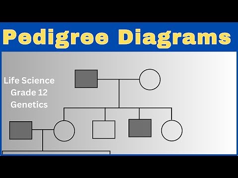 Pedigree Diagram | Genetics | Life Sciences grade 12