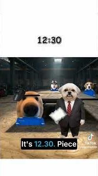 A Day in the Life of a Welder Doggie!