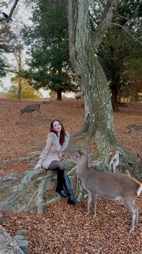 POP ☆ on Instagram: "Straight out of a fairytale 🍂🦌 @FashionNova 🔎Bindi Fur Trim Sweater Micro Mini Dress"