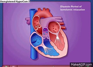 Cardiac Cycle - Systole & Diastole on Make a GIF