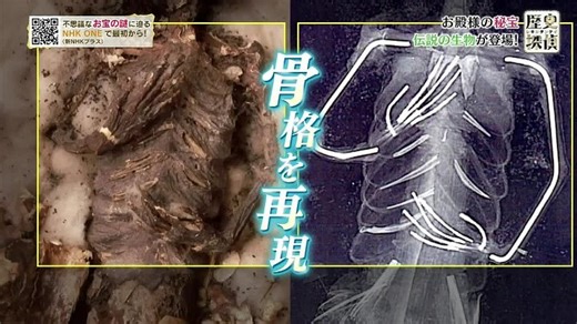 歴史探偵 お殿様の秘宝[解][字] 260121