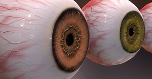 HQ Human Internal Organs | 3D Characters | Unity Asset Store