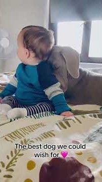 This Baby's Reaction To The Dog Is Priceless! 🥺😂 #shorts #cutebaby #funny
