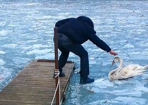 Καστοριά: Εντυπωσιακές εικόνες στη λίμνη που πάγωσε - Τσουχτερό κρύο και χιόνια στην πόλη