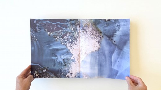 Meghann Riepenhoff Littoral Drift + Ecotone
