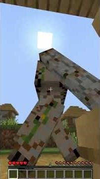 i secretly used morph mod in Hide&Seek #minecraft #troll