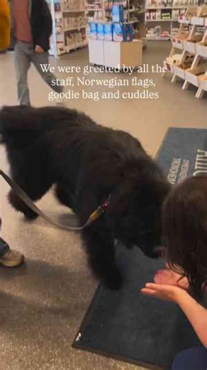 Albert’s vet visit with a warm welcome