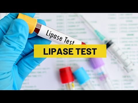 Lipase Test | My Lab Solution