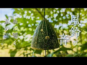 Japanese Wind Chimes in a Summer Forest | Nature Sounds for Sleep & Relaxation | Immersive 3D Sound