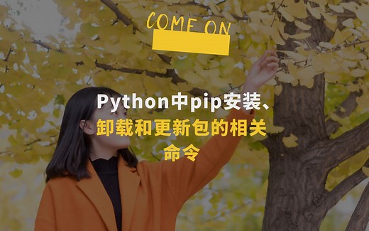 Python中pip安装、卸载和更新包的相关命令