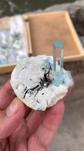 Natural Element on Instagram: "Fully terminated Gemmy blue aquamarine Crystal! Perfect aquamarine crystal on matrix from shigar valley skardu Pakistan 🇵🇰 Available Now ✅✅ DM for more information ℹ️ #crystals #crystalhealing #crystalsofinstagram #fineminerals #crystalporn crystalcommunity crystalcollector crystaljewelry gem gemstones gemporn gemstonejewelry minerals mineralspecimens mineralporn mineralcollection opals opal ethiopia wirewrappedjewelry wirewrapping aquamarine berylware tourmaline