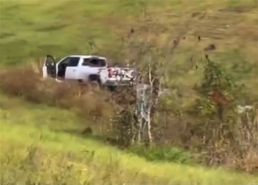TAINTED MONKE! NEW video from Mississippi shows escaped rhesus monkeys gathered in a field following the highway truck crash. A truck carrying lab monkeys infected with hepatitis C, herpes, and COVID overturned on a Mississippi highway, leaving one monkey still on the loose, according to WDSU. Deputies shot the rest. | Kevin Steele