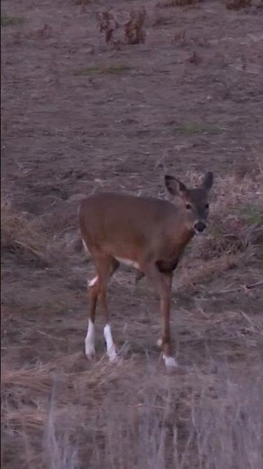 Have You Ever Seen Markings Like This?