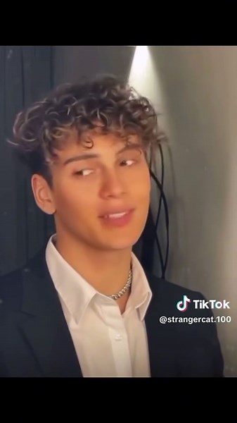 Funny Cringe Cat Memes You Need to See