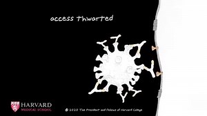 16K views · 435 reactions | This animation shows how antibodies against the SARS-CoV-2 virus (antibody-based therapies or vaccine-induced antibodies) can thwart viral access to prevent disease. Efforts are underway at HMS to identify such treatments. | Harvard Medical School | Facebook