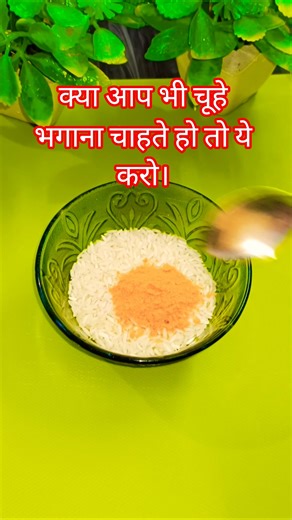 घर से चूहे कैसे भगाएं #facts #kitchentips #nuskha #ytshorts #viral #tips #explore