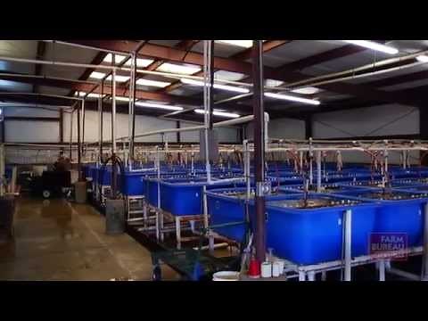 World's Largest Fish Hatchery