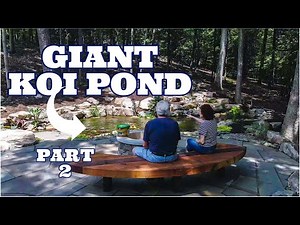 Custom Pond for LARGE KOI | part 2