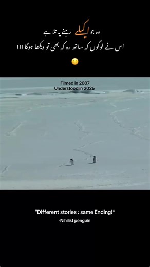 ‏#nihilistic #penguin #wajimalik #w_waji