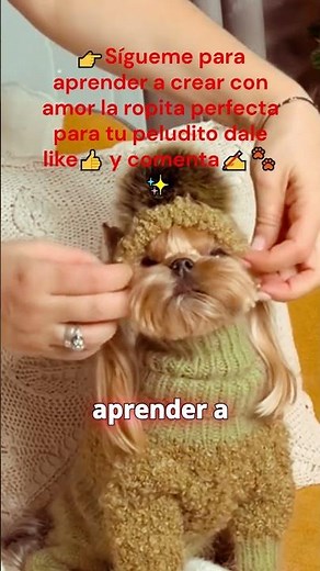 “MODA PARA PERROS | patrones simples que generan confianza”