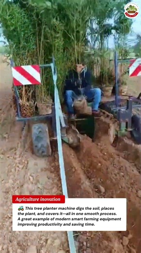 Automatic Tree Planting Machine in Action 🌱 Fast Farming Technology