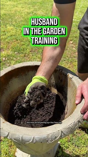 🪴👇The best potting soil for your container garden