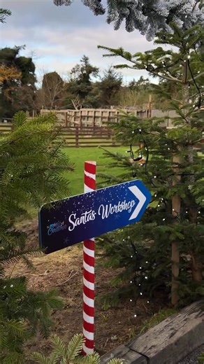 The magic of Christmas at Fitzpatrick’s! 🎅✨ Bring the whole family to meet Santa and his cheerful elves in the enchanting NEW North Pole Grotto 🎄 📅 Limited dates available! Book before it’s too late. Tickets via https://www.universe.com/events/the-magic-of-christmas-fitzpatricks-tickets-XJR5QW?utm_source=ig&utm_medium=social&utm_content=link_in_bio Restaurant bookings separate, call 353 42 937 6193 or visit fitzpatricksbar.com to book. | Fitzpatrick's Bar & Restaurant