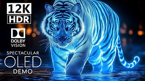 【12K HDR】最佳DOLBY VISION™12K高清超高清240FPS（8K视频超高清）|极致画质|杜比视界|电视屏幕测试|手机屏幕测试 |