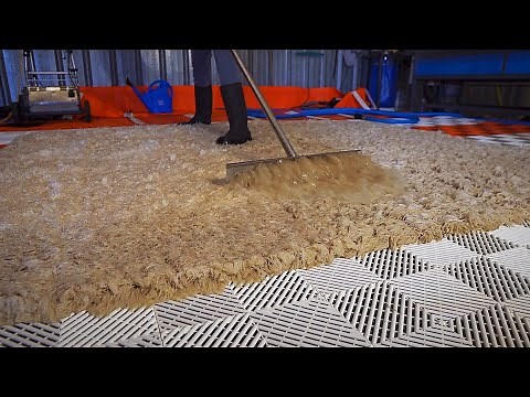 The water flowing out of this FILTHY SHAG looks like mud || Satisfying rug washing