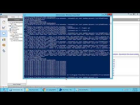 Call BluePrism Process with parameters from Powershell script and get the results