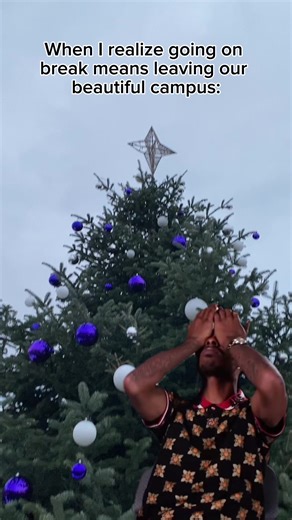 2.6K views · 36 reactions | We love NU! 礪 #niagarauniversity #campuslife #christmas | Niagara University | Facebook