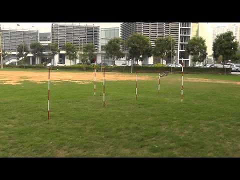 DJI Wookong-M Feature-High-Precision Control Like Driving