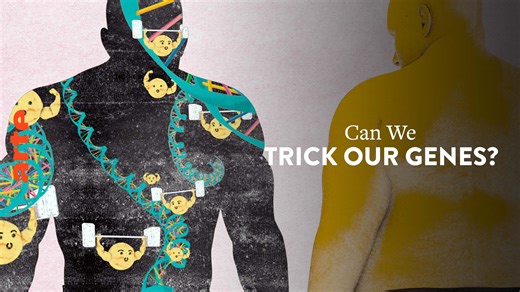 42: The Answer to Almost Everything - Can We Trick Our Genes? - Watch the full documentary in English