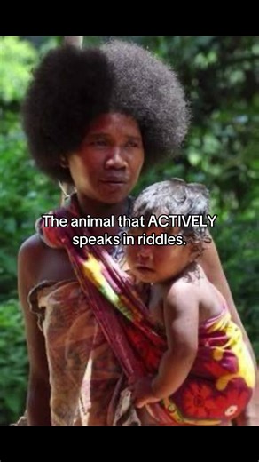 Understanding AAVE: The Language of Riddles