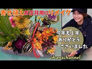 [Remake of a mixed plant] Arranged for the New Year🎍Thank you for this year🍊