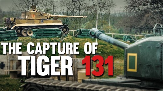 Capturing Tiger 131: The Story Behind the Legend