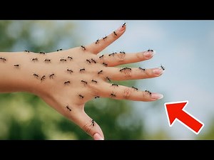 4 Genius Hacks to Get Rid of Ants Forever — No Pesticides Needed! | Tracy Tips