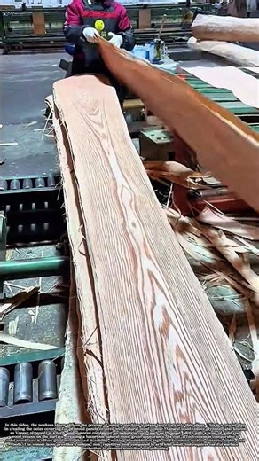 Manufacturing of Natural Wood-Coated Plywood #job #skills #wood #workers