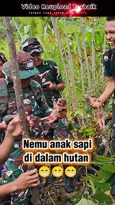 771K views · 4.7K reactions | Nemu anak sapi  @sorotan #satgaspapua #pedalamanpapua #timurindonesia #tniindonesia #papua #bahagiaitusederhana #storyabdinegara #fyp #viral | Dzaki Andara | Facebook