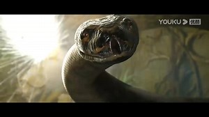 2.6K views · 17 reactions | He fights the python with full power! The...