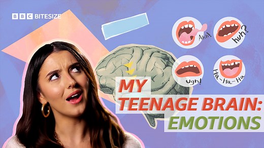 Emotions and impulsive behaviour as a teenager - BBC Bitesize