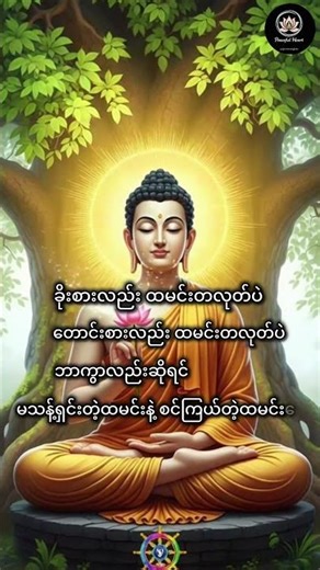 ကိုယ်ချင်းစာတရားနဲ့ ဘဝအဓိပ္ပာယ်#shorts #peacefulheart #dhamma