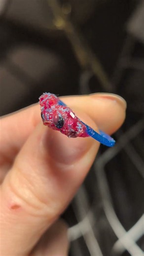 From cheese wax to sterling silver ring with cast in place sapphires 🧀💎