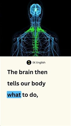 Why do we feel pain ? #english #shorts